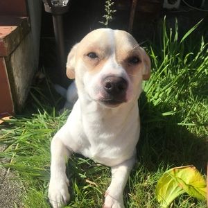 Meet your Posher, Eva